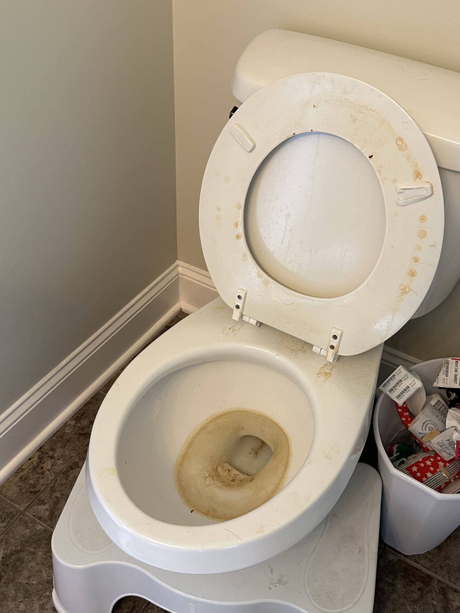 Bathroom toilet after cleaning